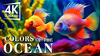 The Best 4K Aquarium - The Colors of the Ocean, The Sound Of Nature #10