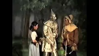 6. Wizard of Oz: Tinman-Scene 6