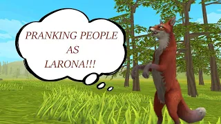 Pranking people as LaRona || Funny WildCraft creepypasta prank 🦊🤣