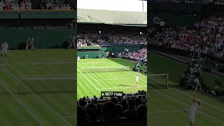 Турнир большого шлема| История тенниса, топ победители 🎾