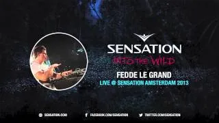 Fedde le Grand   Live @ Sensation Amsterdam 2013