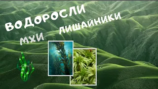 Водоросли. Строение водорослей. Мхи (мохообразные). Лишайники. Видеоурок. Биология 6 класс 7. ЕГЭ