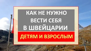 Швейцарцы в ШОКЕ! Как не нужно вести себя беженцам. Служба опеки и другие проблемы