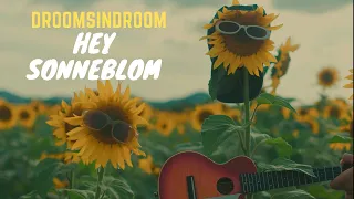 Hey Sonneblom - Droomsindroom (Official Music Video)