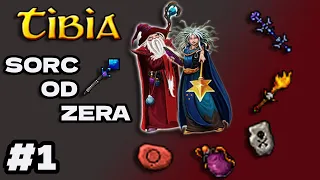 Tibia Sorcerer od zera #odc 1, Plany na serie, Pierwsze kroki, Powrót po przerwie