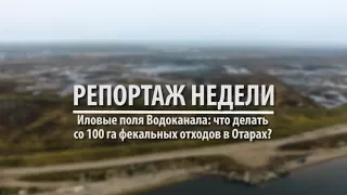 Репортаж недели / Иловые поля Водоканала: что делать со 100 га фекальных отходов в Отарах?