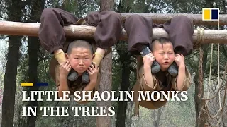 Young Chinese Shaolin monks display amazing feats of flexibility