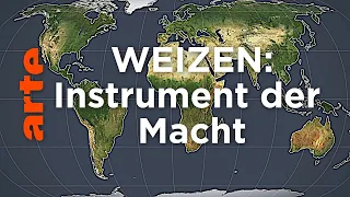 Weizen: Instrument der Macht | Mit offenen Karten | ARTE