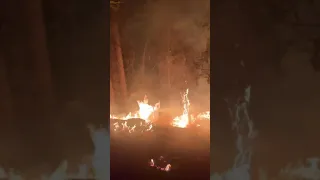 Footage Captures Caldor Fire Burning Throughout Night