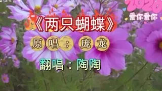 一首庞龙《两只蝴蝶》曾经风靡一时的经典，如今依然回忆满满