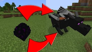 MCPE: How To Hatch the Ender Dragon Egg