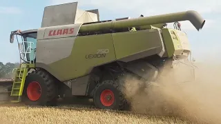 Claas Lexion 750 im Weizen/ Deutz M650/ Getreideernte 2023