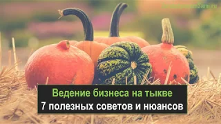 Выращивание тыквы как бизнес