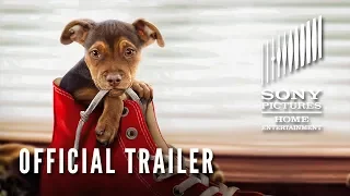 A DOG'S WAY HOME: Now on Digital & on Blu-ray April 9!