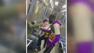 Cell phone video shows elderly CTA rider brutally attacked on Red Line