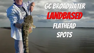 Gold Coast LAND BASED fishing for DUSKY FLATHEAD