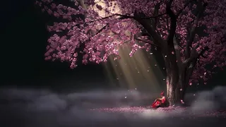 Beautiful Relaxing Music - Meditation Piano, Sakura Falling