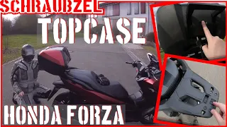 Honda Forza - Thema Topcase
