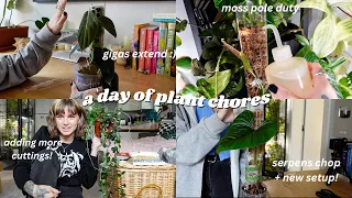 join me for some plant care 😊🌿 moss pole routine, propagations, + watering