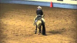 2012 NRHA Derby Raws {read description}