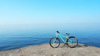 【Street View】🌲Severnaya Riviera Sanatorium・🌊Gulf of Finland「Saint-Petersburg, Russia🌼Summer 2019」