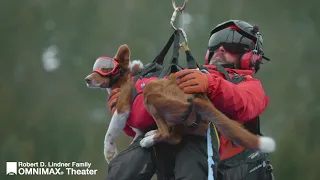 Superpower Dogs: Behind the Scenes