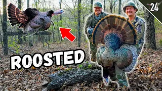 Turkey Tour Day 24 - GOBBLER DOWN Before SUNRISE!! (He Flew Right To Us)