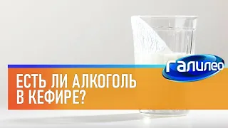 Galileo 🥛 Whether There is alcohol in kefir?