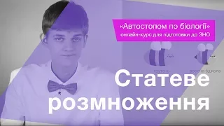 Статеве розмноження – Підготовка до ЗНО – Біологія