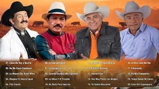 🔥LLANERAS MAS ESCUCHADAS🔥Vitico Castillo, Armando Martinez, Reynaldo Armas Lo Mejor Del llano
