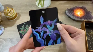 Таро Ботаника - обзор Tarot Botanica