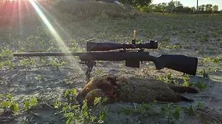 Groundhog Hunt 72 Rem 700 LR 25-06