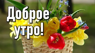 С Добрым утром! С Новым днем! С хорошим началом недели! Музыкальная открытка Доброе утро