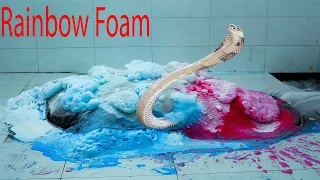 Dirty Carpet Guarded By A Big Snake - Super Scary Cloud Foam - rug cleaning | Satisfy Clean