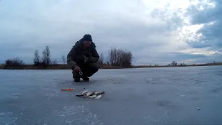 Это просто чудо такого клева я не ожидал.