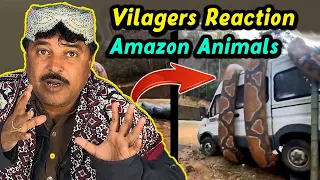 Tribal People React To 30 Interesting Animals in Amazon