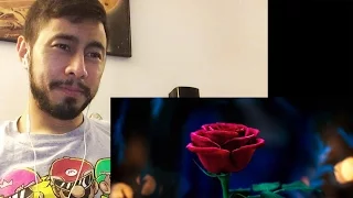 Beauty and the Beast Teaser Reaction (lazy video)