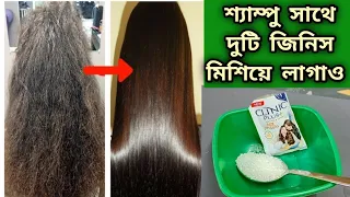 শ্যাম্পু সাথে দুটি জিনিসকে মিশিয়ে লাগাও চুল চকচকে সোজা লম্বা হবে/খুশকি চুল উঠা বন্ধ হবে/Hair Care