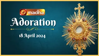 🔴 LIVE 18 April 2024  Adoration 11:00 AM | Madha TV