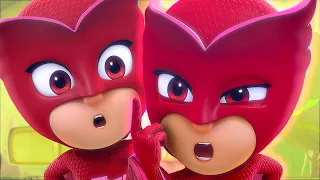 PJ Masks em Português | Gêmeos? | Desenhos Animados