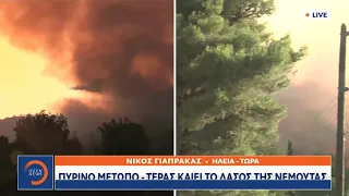 Φωτιά Ηλεία: Τέρας καίει το δάσος της Νεμούτας