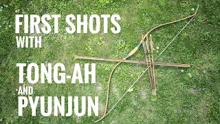 First Shots with Tong-ah and Pyunjun, Korean Baby Arrows