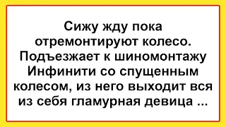 Самые Смешные Анекдоты для Отличного Настроения! Подборка Жизненных Анекдотов! Юмор и Позитив!