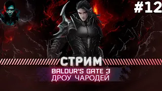 Baldur's Gate 3  ПРОХОЖДЕНИЕ ТАКТИКА АКТ 3  | АБСОЛЮТНОЕ ЗЛО | #12