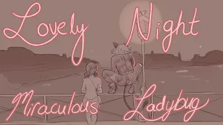 Lovely Night - Miraculous Ladybug Animatic