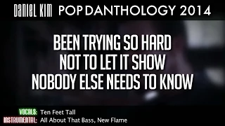 Pop Danthology 2014 - Lyrics and Song Titles