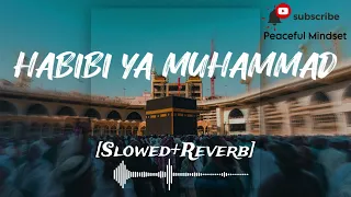 Habibi Ya Muhammad Slowed Reverb Arabic New Naat sharif