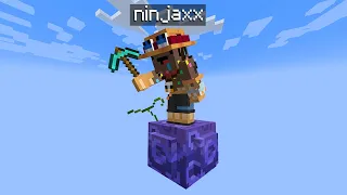 Je dois survivre sur un Block One Piece sur Minecraft..