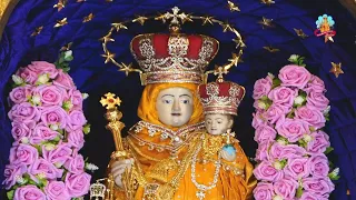 🔴🅻🅸🆅🅴  8th Jun 2022 Car procession & Mass from Our Lady of Health Vailankanni, Nagapattinam