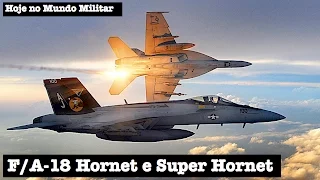 F/A-18 Hornet e Super Hornet